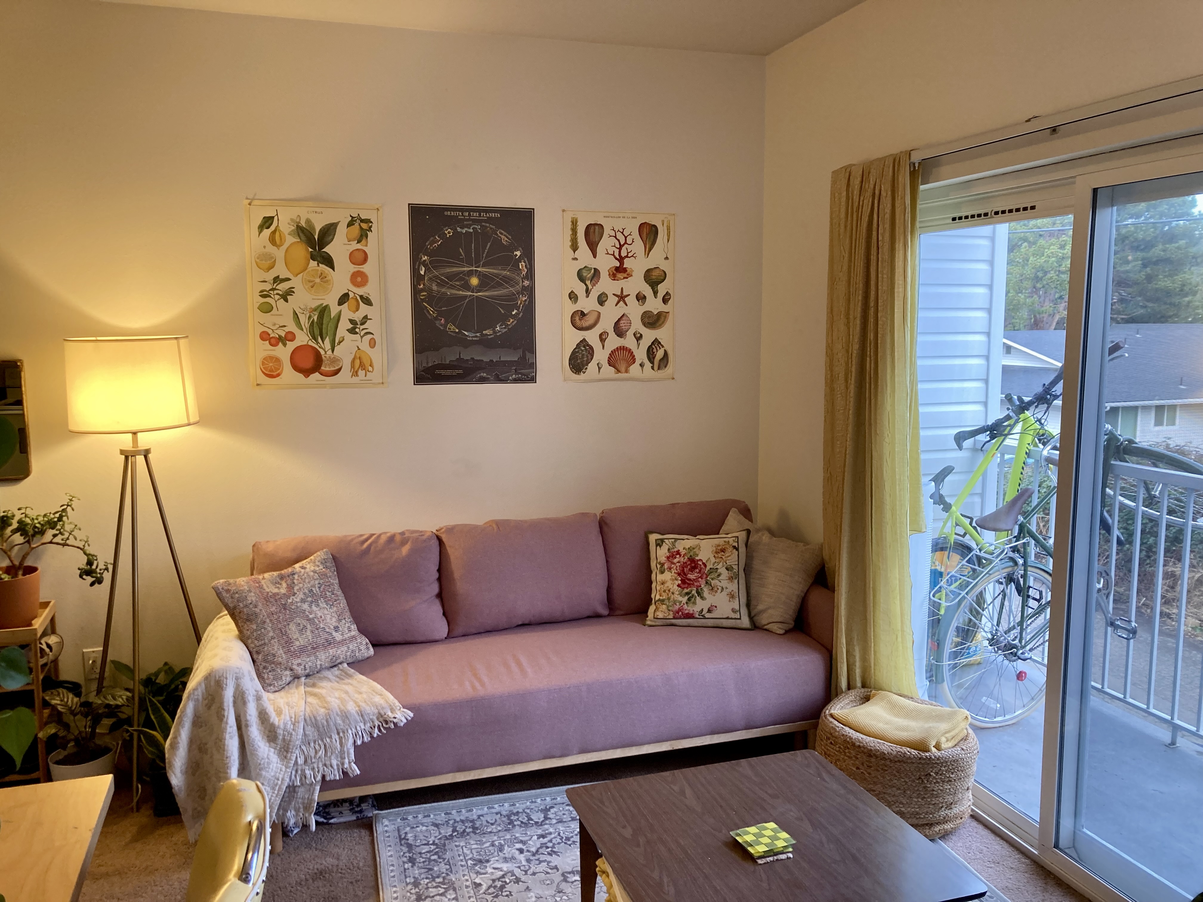 Cozy living room with lots of natural light